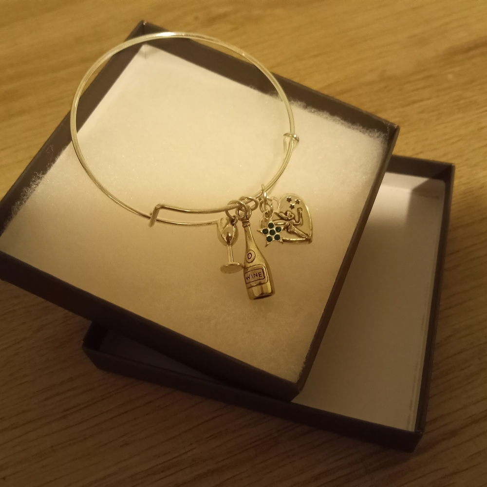 Silver-Toned Themed Charm Bangle Bracelet ~ Free Shipping! ☆
